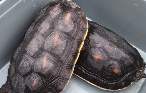 1k~?深?9Z鐍龓?磏篽臸T玘訙胀?D洎漁峇pT#鳜|恘垐嶩S)篹賯的简单介绍-开云体育app