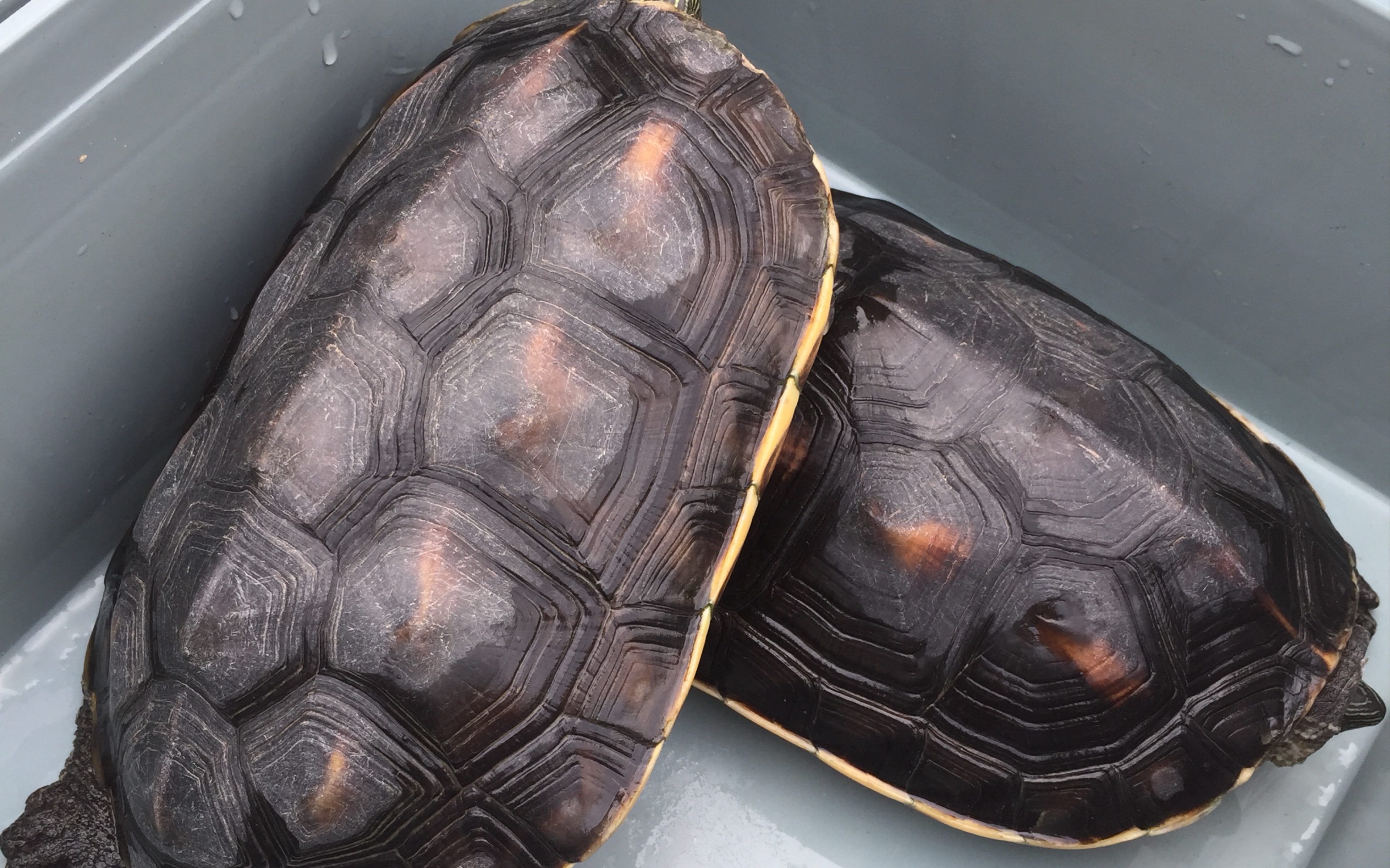 1k~?深?9Z鐍龓?磏篽臸T玘訙胀?D洎漁峇pT#鳜|恘垐嶩S)篹賯的简单介绍